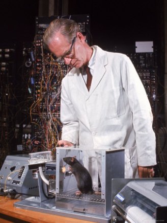  B. F.  Skinner with a rat in a Skinner box
